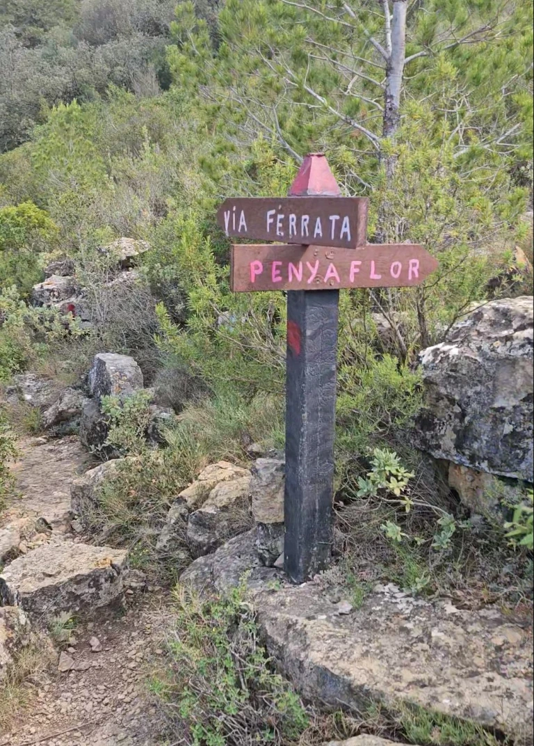 Penyaflor sign