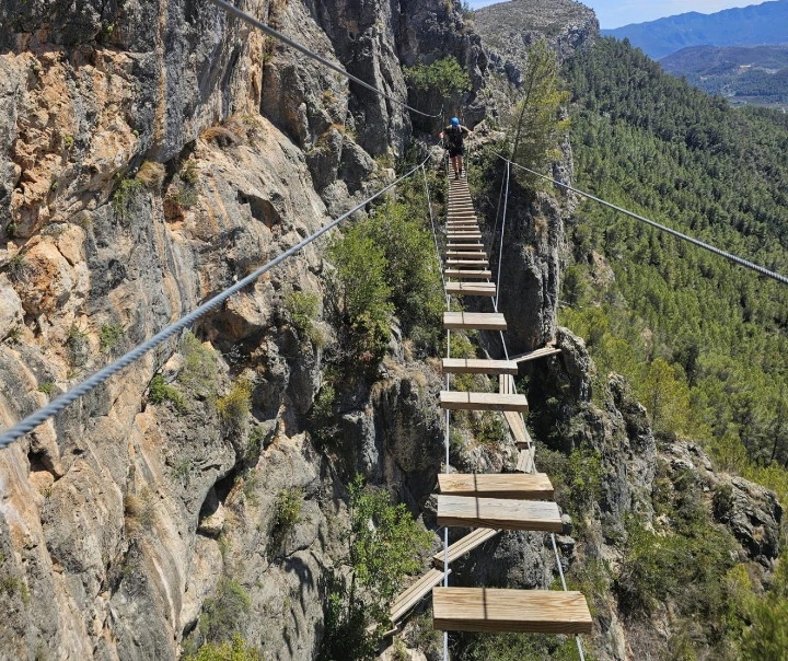 La Falconera bridge