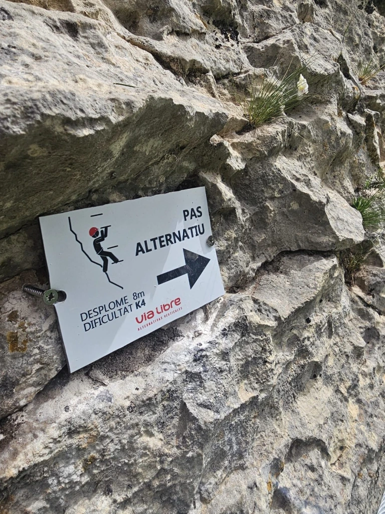 Paret de les Arcades arrow